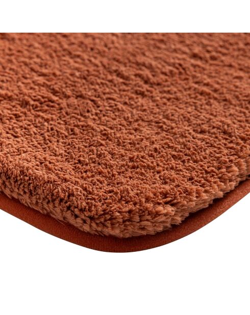 Alfombra de baño de microfibra lisa de terracota Mael, 50 x 80 cm