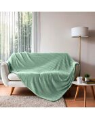 Coperta Arya Sage (180 x 220 cm), rilievo in flanella