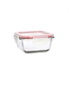 Vierkante luchtdichte verpakking met clementinedeksel - 310ml