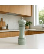 Moulin sel poivre en plastique celadon broyeur céramique - H.18.5cm