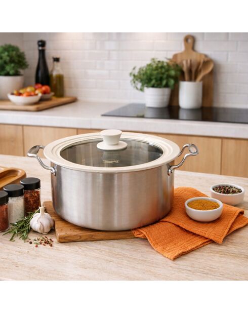 Coperchio multiformato in vetro temperato e silicone beige - 22/24/26 cm