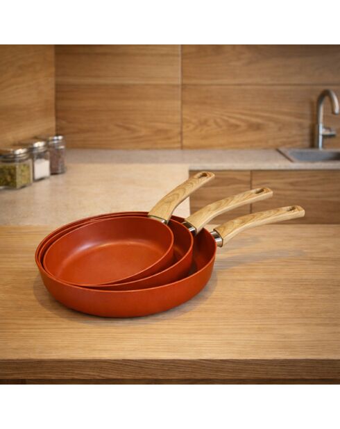 Set van 3 aluminium braadpannen compatibel met teracotta-inductie - 20/24 en 28cm