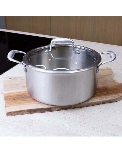 Trinox Kochtopf aus Edelstahl mit Deckel, Durchmesser 24 cm