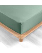 Spannbetttuch aus 100% Baumwollperkal Percaline Linden