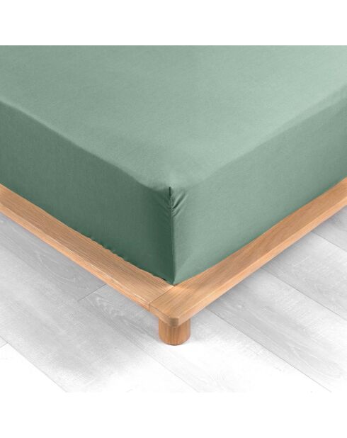 Spannbetttuch aus 100% Baumwollperkal Percaline Linden