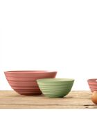 Bol L Tierra terre cuite foncée - 10,5x25 cm