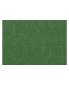 Set de table en tissu double face émeraude - 43 cm