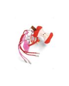 Colgante de bolso rojo C2 #1