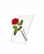 Vase pour fleur simple Si Single transparente - 18x11x25cm - 25x11x18 cm