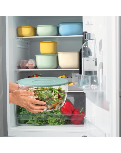 Centrifugeuse à salades Spin&Store vert lichen - D.26 cm