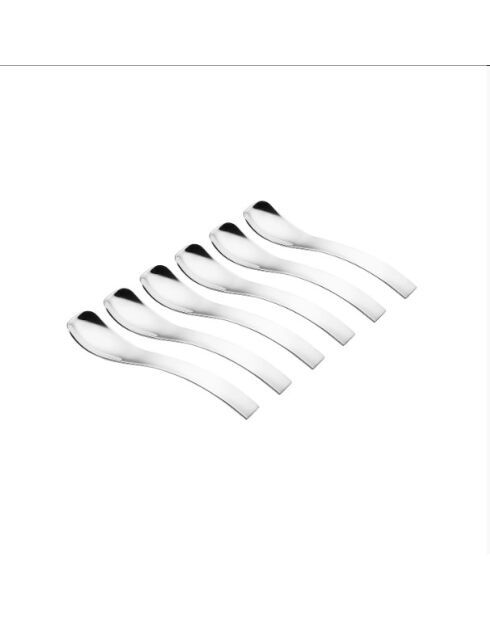 Set mit 6 Infusionslöffeln aus Stahl, 10,5 Zoll