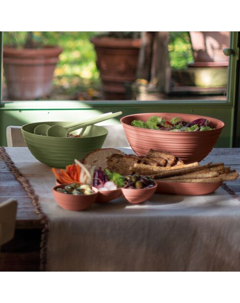 Servidores Tierra Seaweed para ensaladas verdes, 2x0x28 cm