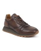 Sneakers 100 % cuir Milani marron