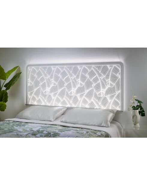 Testiera doppia trasparente Gauguin - 180x1x75 cm