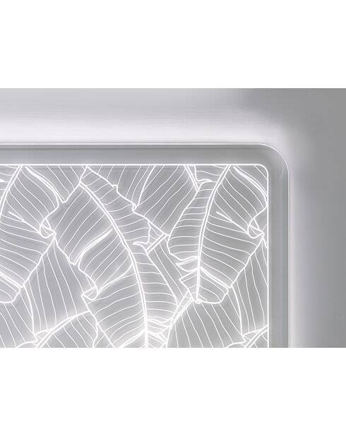 Testiera doppia trasparente Gauguin - 180x1x75 cm