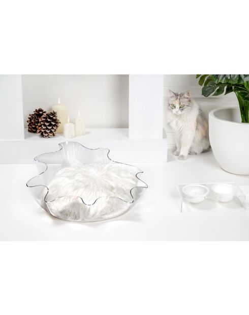 Arena transparente para gatos I-Pet Drape Sit