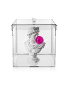 Caja transparente grande Haku