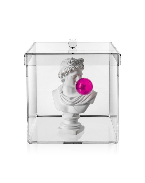 Caja transparente grande Haku