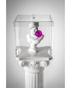 Caja transparente grande Haku