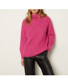 Jersey Cleophee petunia