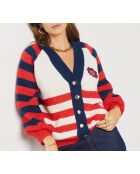 Pull Cecile Multicolore