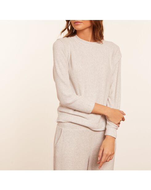 Sweatshirt Amythis gris clair