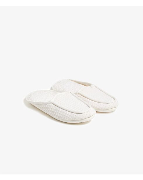 Muilezels met witte bijen