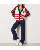 Pull Cecile Multicolore