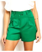 Nilgrüne Calvin-Shorts