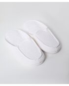 Muilezels met witte bijen