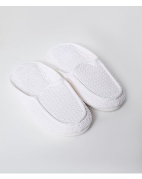 Muilezels met witte bijen