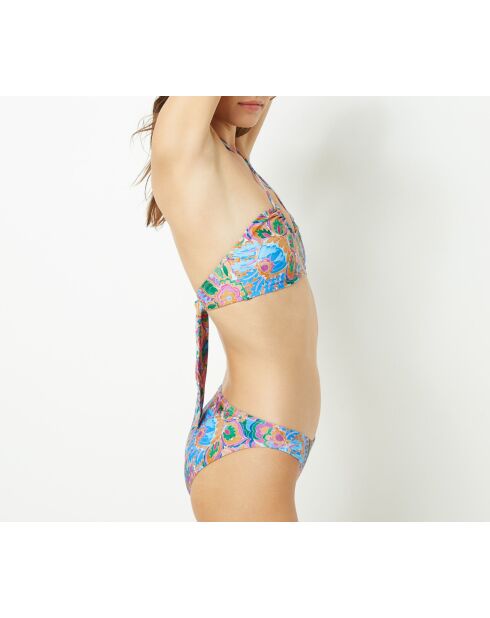 Mehrfarbige Rosklide SPE Standard-Bikinihose