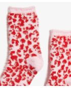 Chaussettes Filou fushia