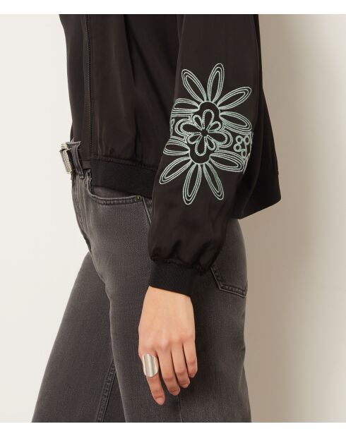 Grote zwarte bommenwerpers