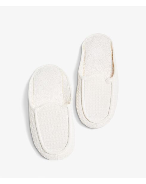 Muilezels met witte bijen