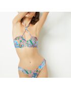 Mehrfarbige Rosklide SPE Standard-Bikinihose