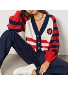 Pull Cecile Multicolore