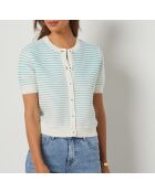 Hellblaue Cora-Strickjacke