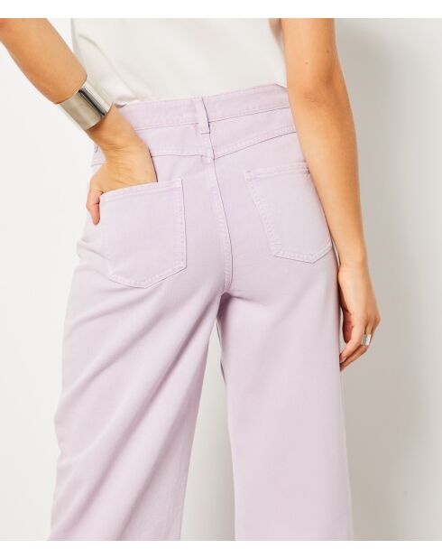 Pantalon Delphine gd mauve