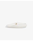 Muilezels met witte bijen