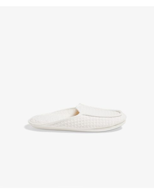 Muilezels met witte bijen