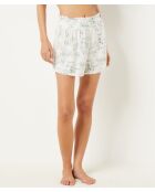 Short Lewisia écru