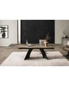 Table ceramique pierre volcanique brun - gris - 200 (300)x77x100 cm