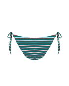 Coyote gestreiftes grünes Krawattenhöschen