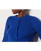 Jersey Berta azul royal