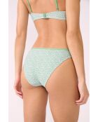 Anchusa Standard-Bikinihose mit grünem Hintergrunddruck