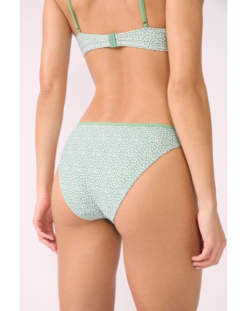 Anchusa Standard-Bikinihose mit grünem Hintergrunddruck