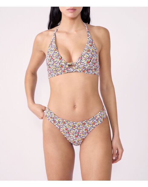 Slip bikini standard Ventroso multicolore