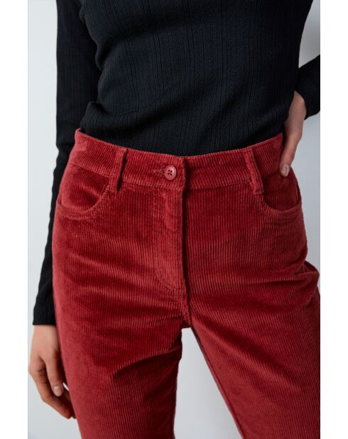 Enory terracotta planten