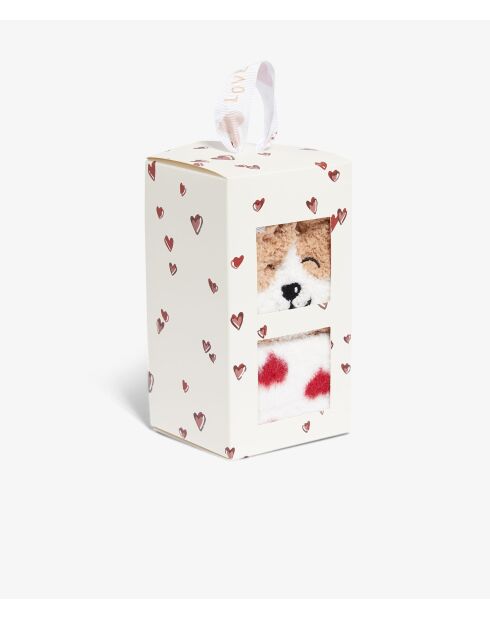 Boite cadeau de chaussettes Gabin dune